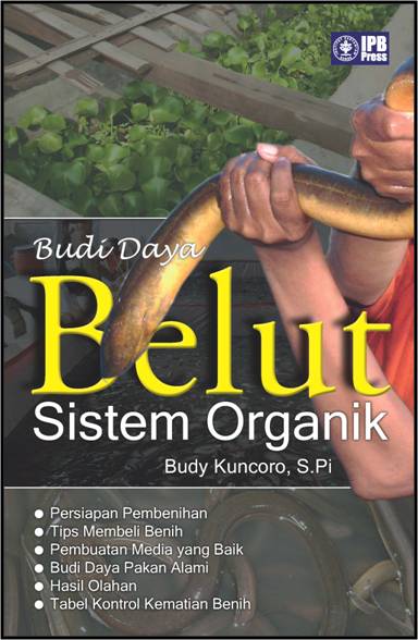 belut