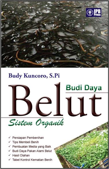 belut