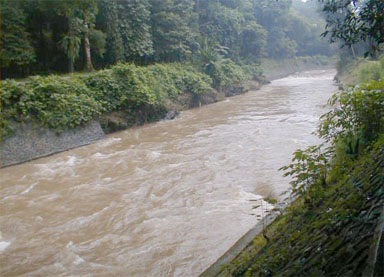 ciliwung