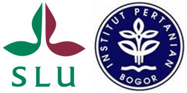 ipb slu