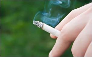 rokok