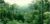 hutan