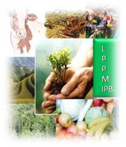 lppm