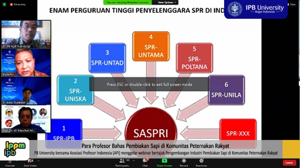 BERITA spr