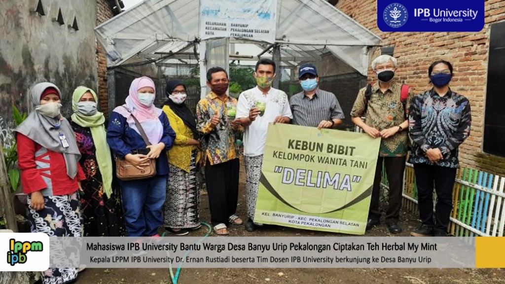 Berita - IPB University bantu warga Desa Banyurip Pekalongan Ciptakan Produk The Daun Mint