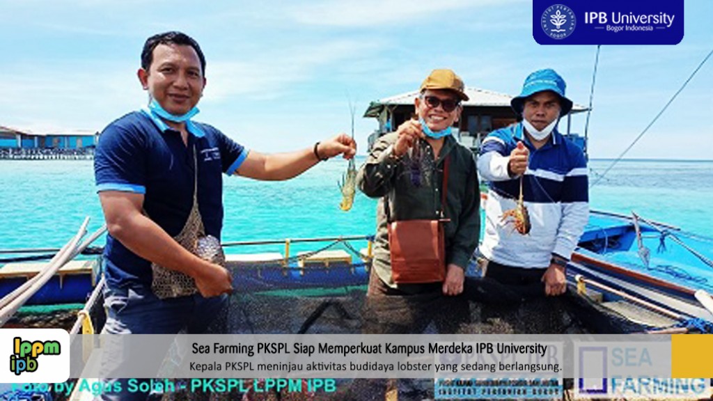 berita-seafarming