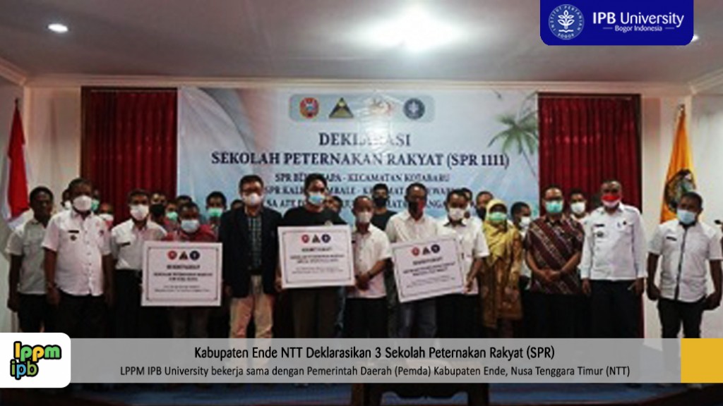 berita-kabupaten-ende-ntt-deklarasikan-3-sekolah-peternakan-rakyat-spr-news