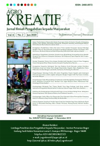 cover vol 6 no 2 2020